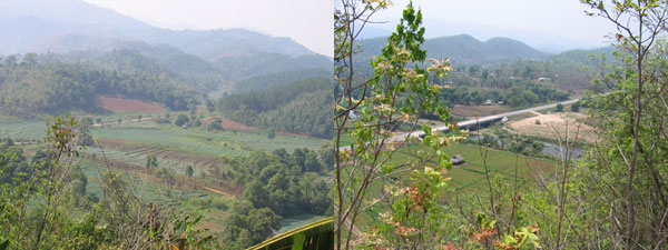 burmese_panorama.jpg