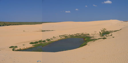 dunes_lake.jpg