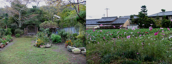 kyoto_gardens.jpg
