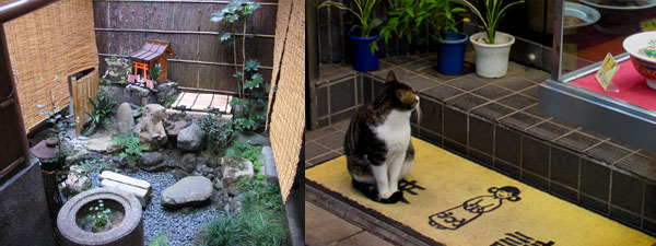 small_garden_cat.jpg