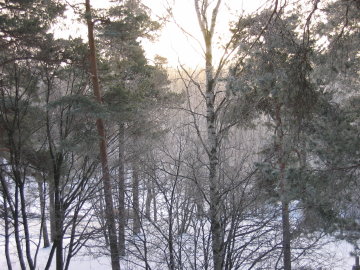 Winter in Sapokka.JPG